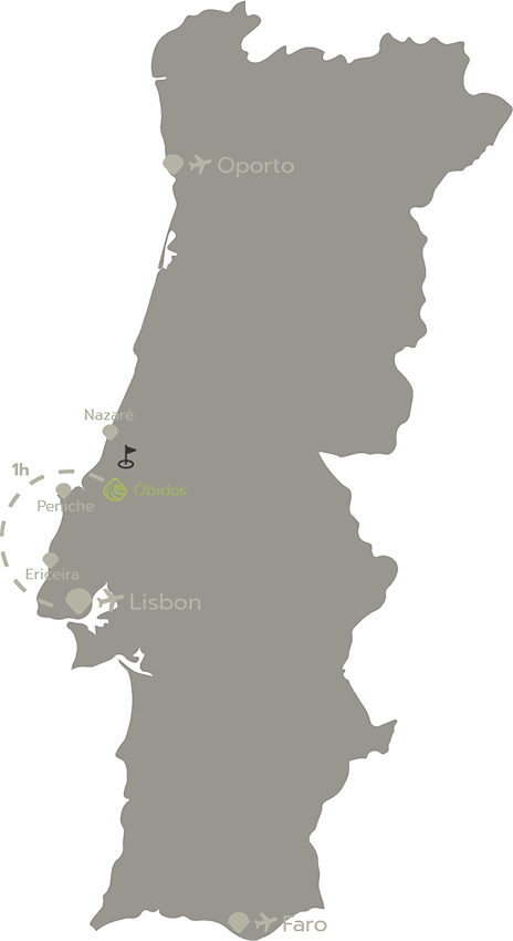 Surfers Cove map